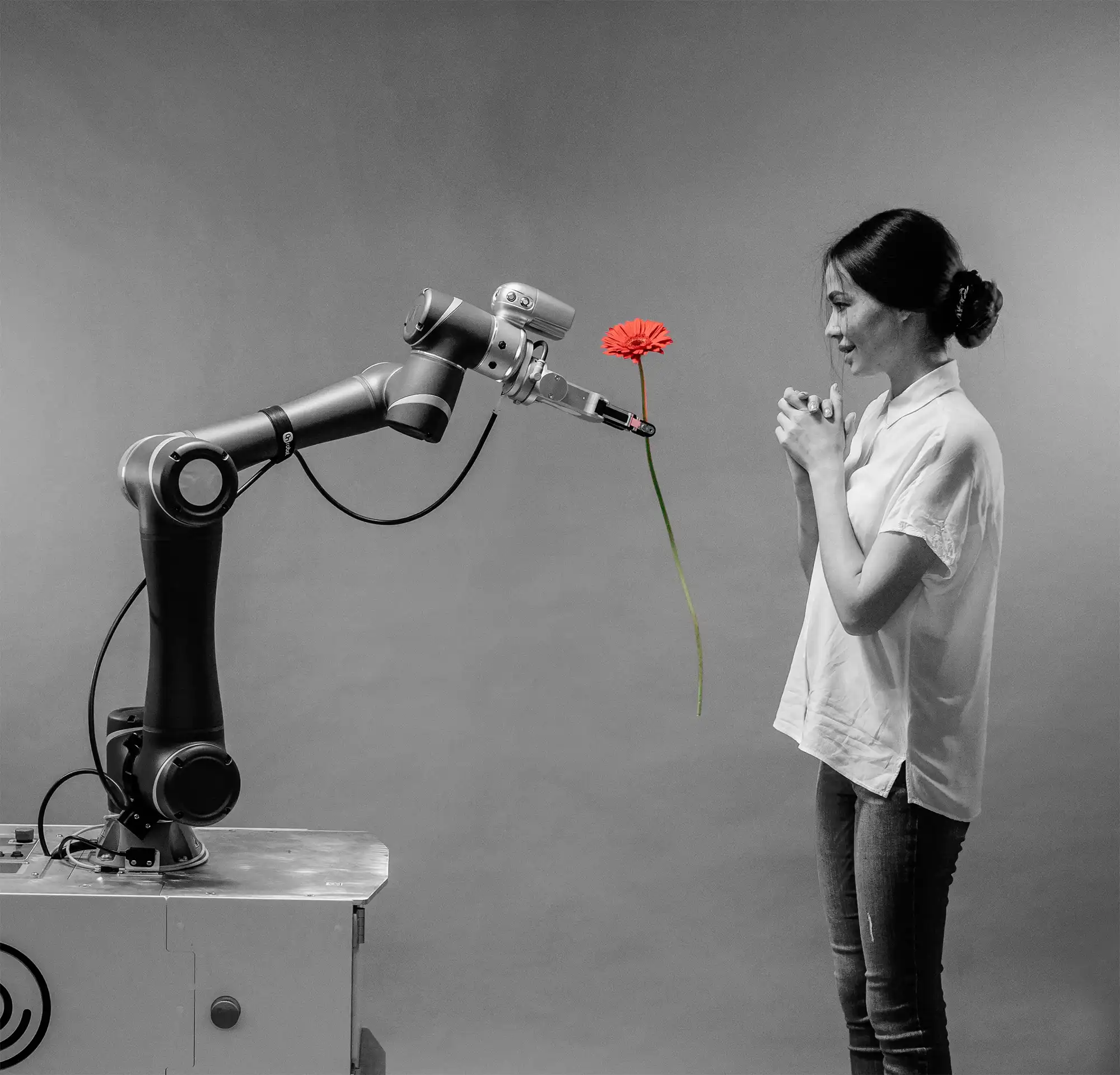 FoxBran-Robotics
