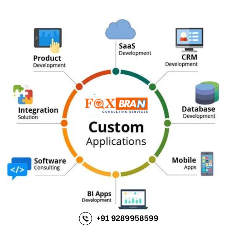custom software development company in noida