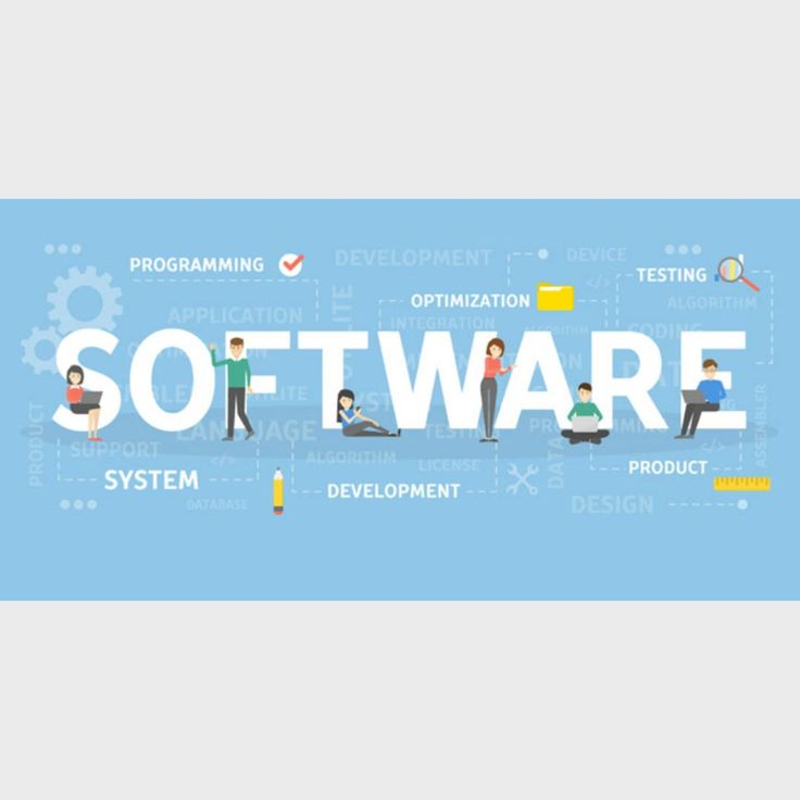 custom software development