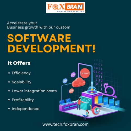software development services in india