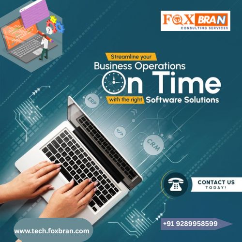 software development services in noida