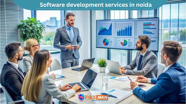 software development services in noida