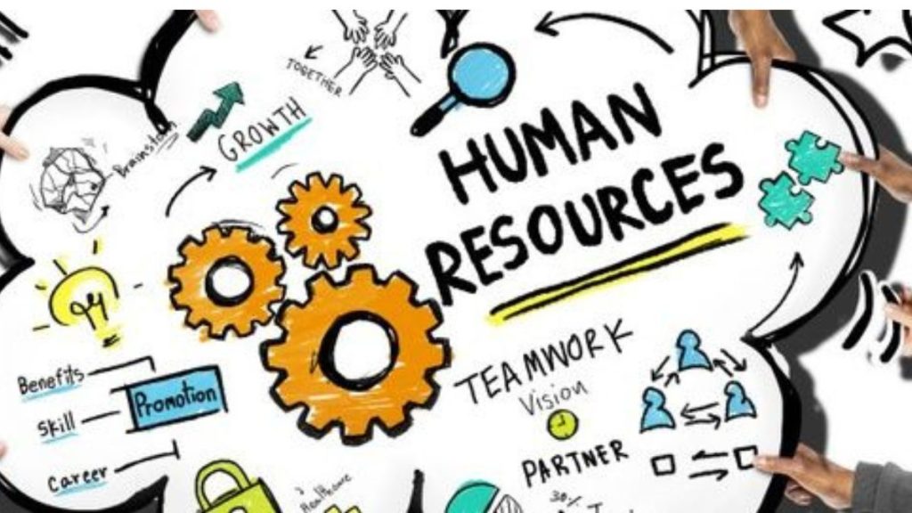 HRMS Software in noida