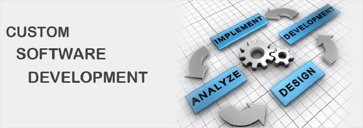 customized application software